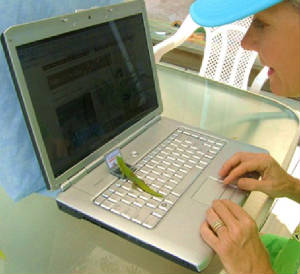 klrme2011.jpg
